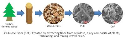 Cellulose