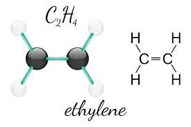 Polyethylene